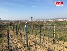 Prodej zahrady s vinicí v Dobšicích
