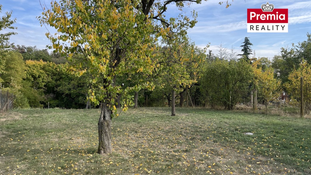 Ostatní