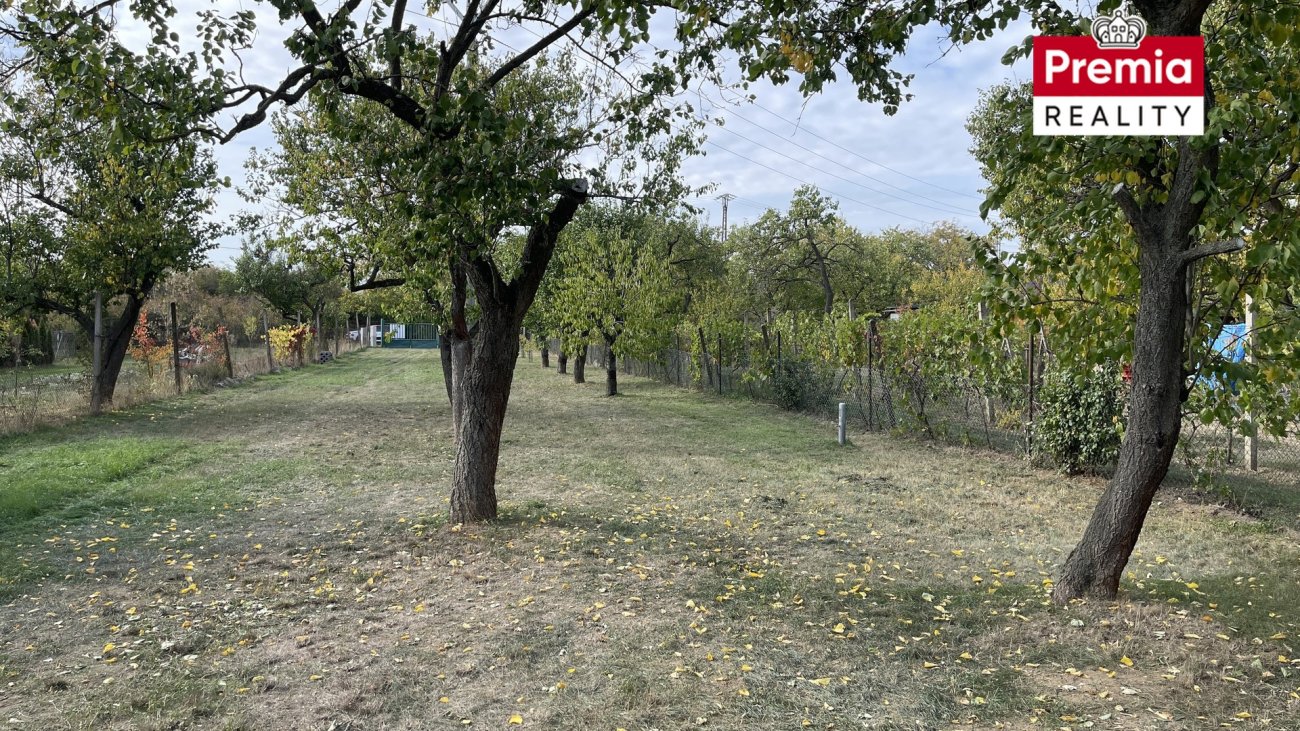 Ostatní