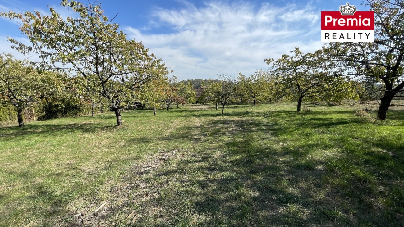 Ostatní