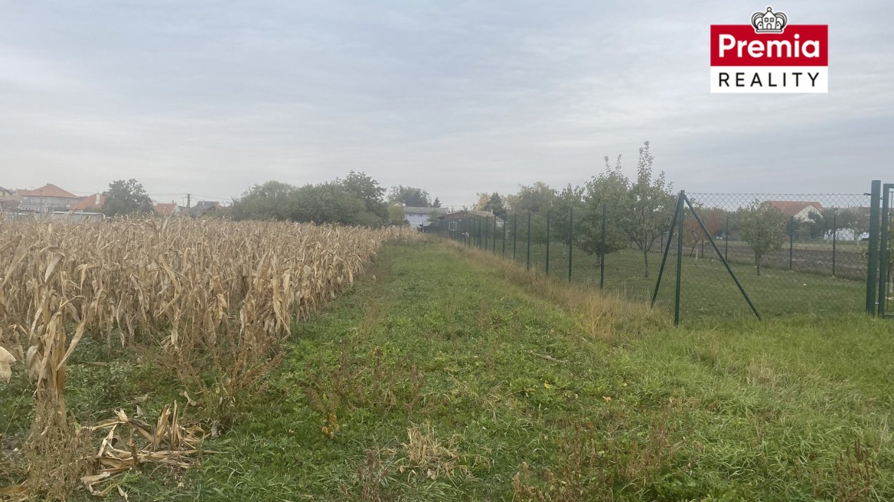 Ostatní